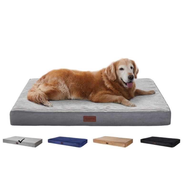 Ophanie Orthopedic Dog Bed for Large Dogs featuring Washable Removable Cover â Gray / 35"x22"x3.5" / Suitable for Crates / Non-Slip Bottom & Waterproof Liner